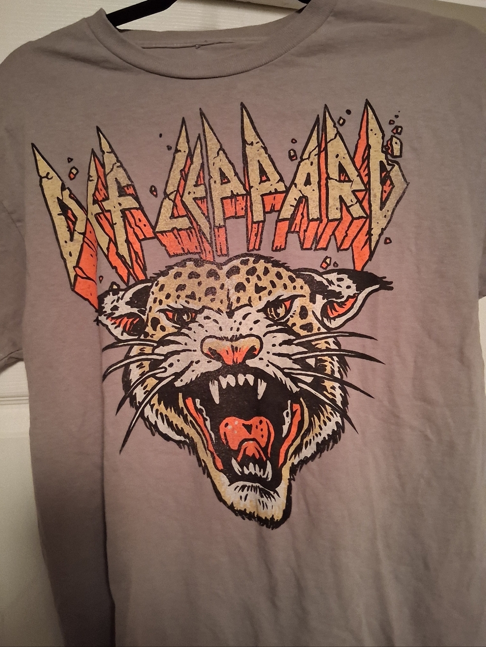Graphic Def Leopard  Band Tee in Light Gray